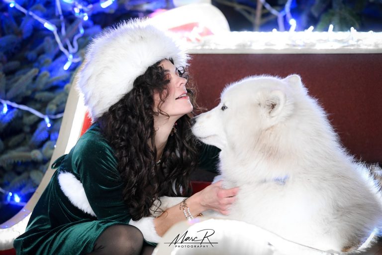 Shooting photo pour Noel